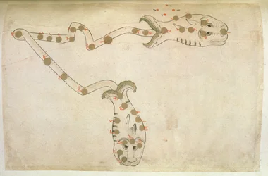 Representations of the Zodiac: Pisces, the fishes, 1497-1498 (903 Hijra)